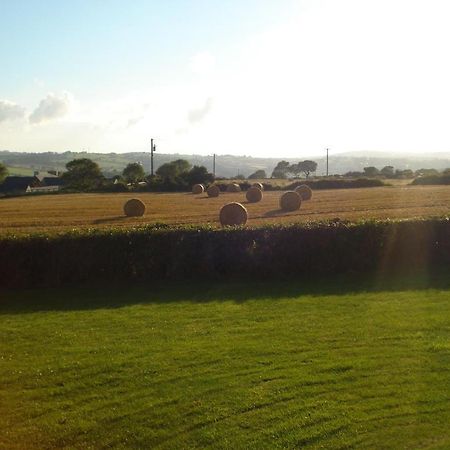 Glendine Irish Home B&B Cork Exterior foto