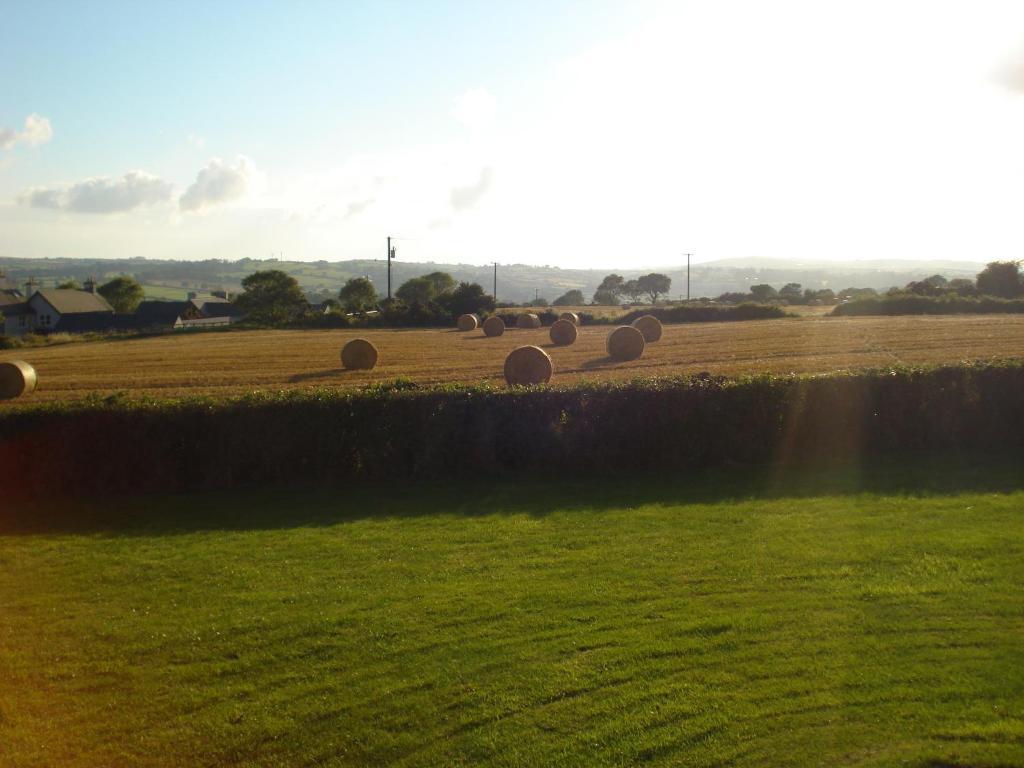 Glendine Irish Home B&B Cork Exterior foto