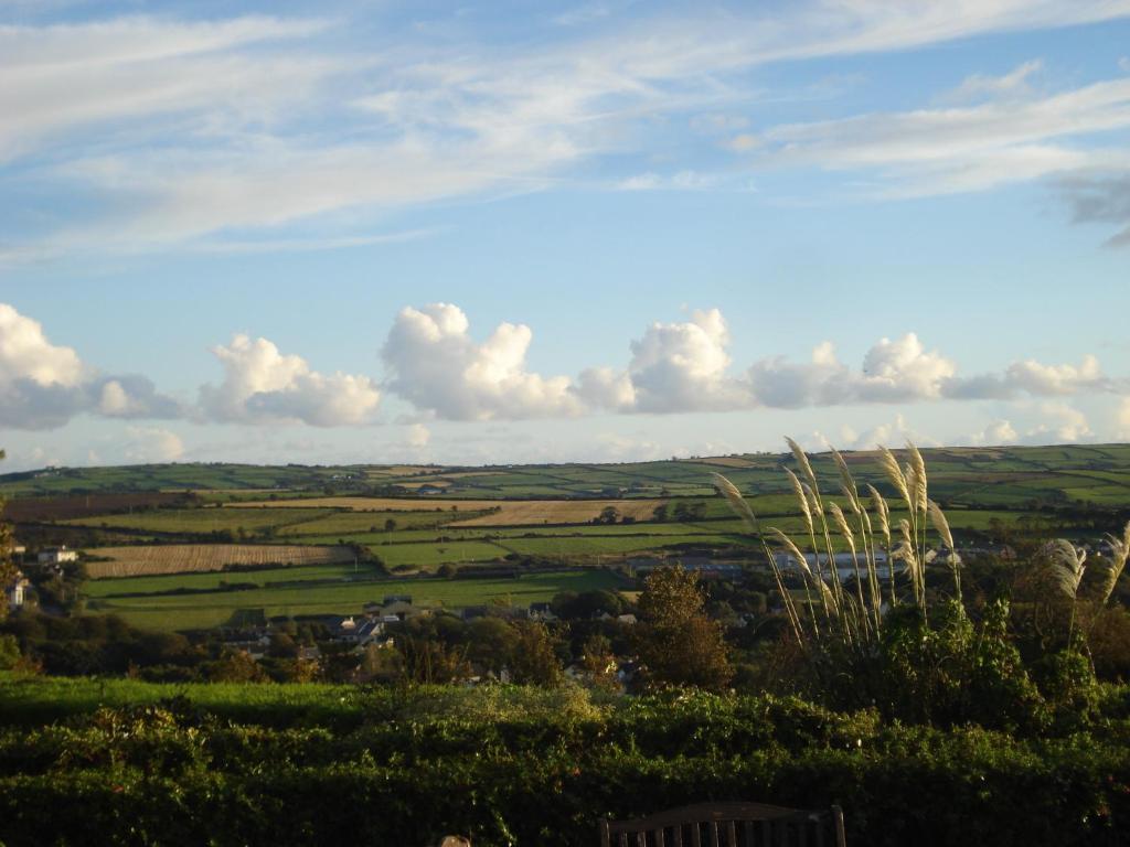 Glendine Irish Home B&B Cork Exterior foto