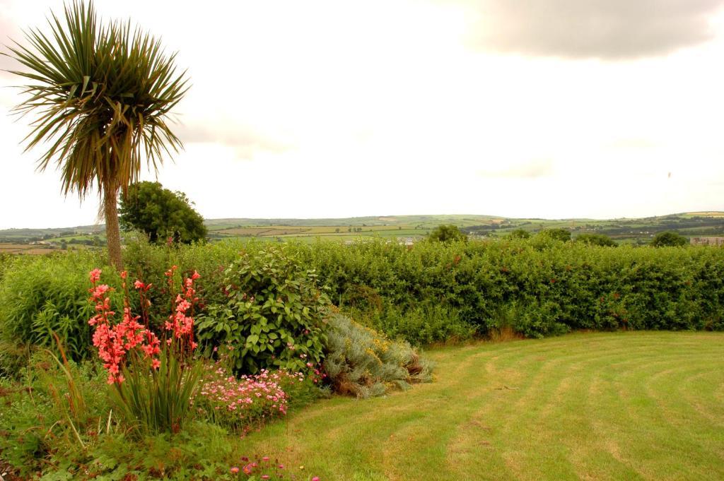 Glendine Irish Home B&B Cork Exterior foto